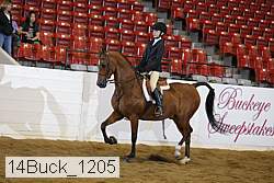 14buck_1205 proof