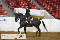 14buck_1208 proof