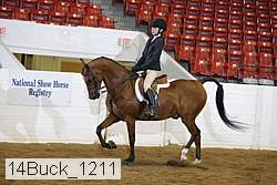 14buck_1211 proof