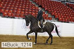 14buck_1214 proof