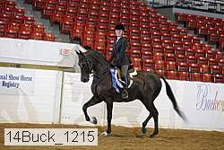 14buck_1215 proof