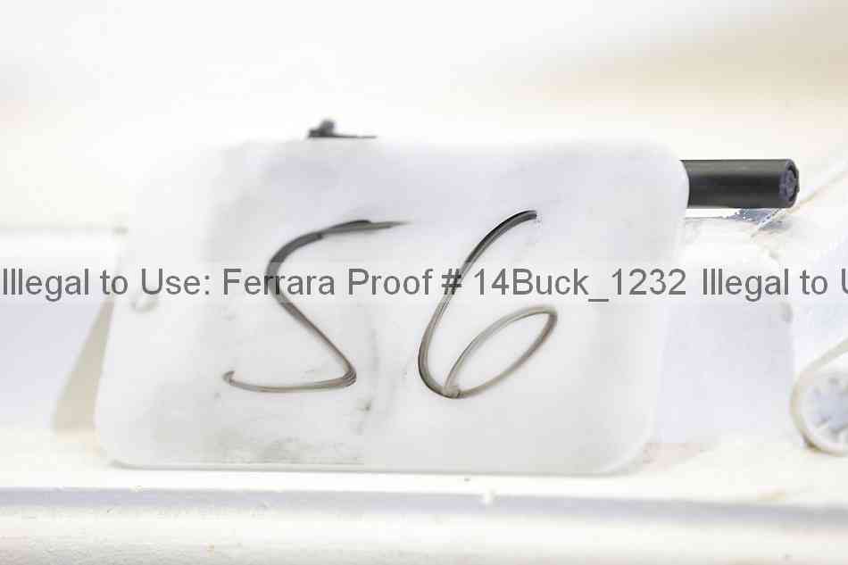 Proof 14buck_1232