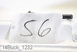14buck_1232 proof
