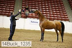 14buck_1235 proof