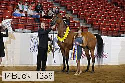 14buck_1236 proof