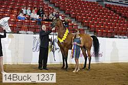 14buck_1237 proof