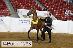 14buck_1238 proof