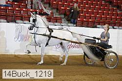 14buck_1219 proof