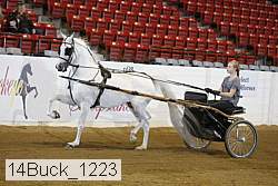 14buck_1223 proof