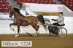 14buck_1224 proof