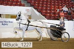 14buck_1227 proof