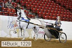 14buck_1229 proof