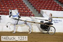14buck_1231 proof