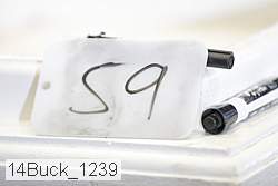 14buck_1239 proof