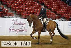 14buck_1240 proof
