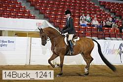 14buck_1241 proof