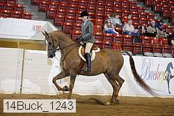 14buck_1243 proof