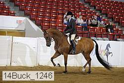 14buck_1246 proof