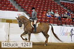 14buck_1247 proof