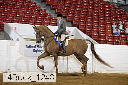 14buck_1248 proof
