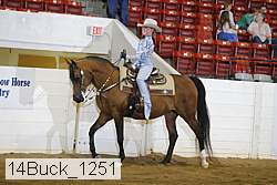 14buck_1251 proof