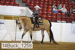 14buck_1258 proof