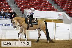 14buck_1260 proof