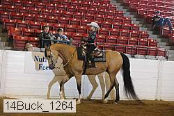 14buck_1264 proof