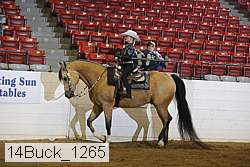14buck_1265 proof