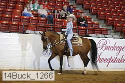 14buck_1266 proof