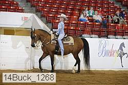 14buck_1268 proof