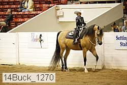 14buck_1270 proof
