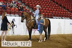 14buck_1272 proof