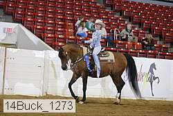 14buck_1273 proof