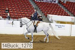 14buck_1278 proof