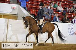 14buck_1283 proof