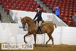 14buck_1284 proof