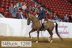 14buck_1286 proof