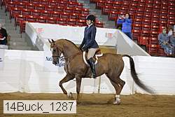 14buck_1287 proof