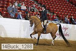 14buck_1288 proof