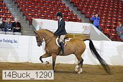14buck_1290 proof