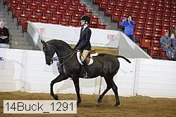 14buck_1291 proof