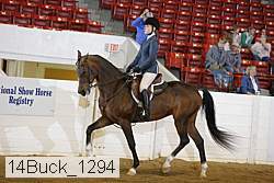 14buck_1294 proof