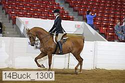 14buck_1300 proof