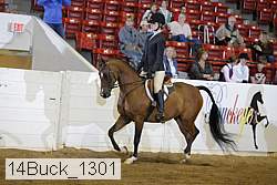 14buck_1301 proof