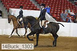 14buck_1302 proof