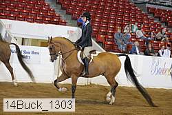 14buck_1303 proof