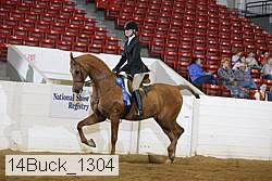 14buck_1304 proof