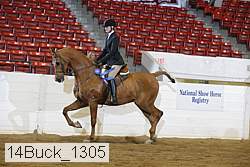 14buck_1305 proof