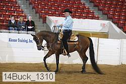 14buck_1310 proof